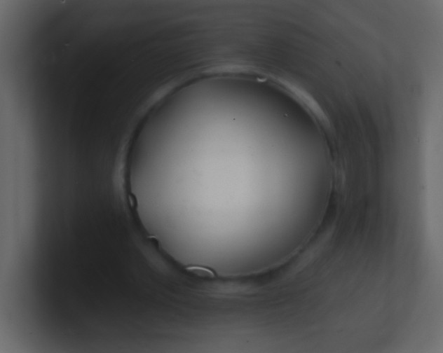 X0000100840389200807070937