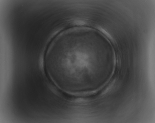 X0000100840390200807070937