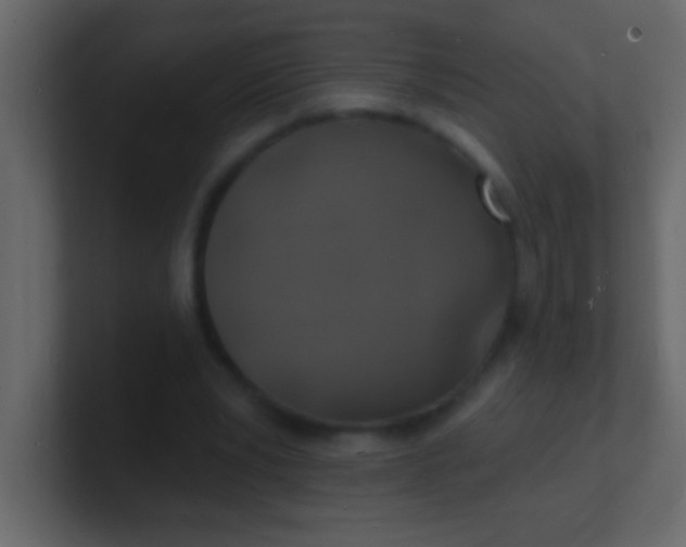 X0000100840391200807070937