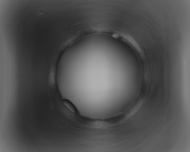 X0000100840393200807070937