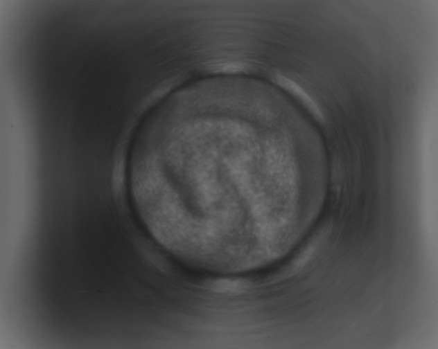 X0000100840394200807070937