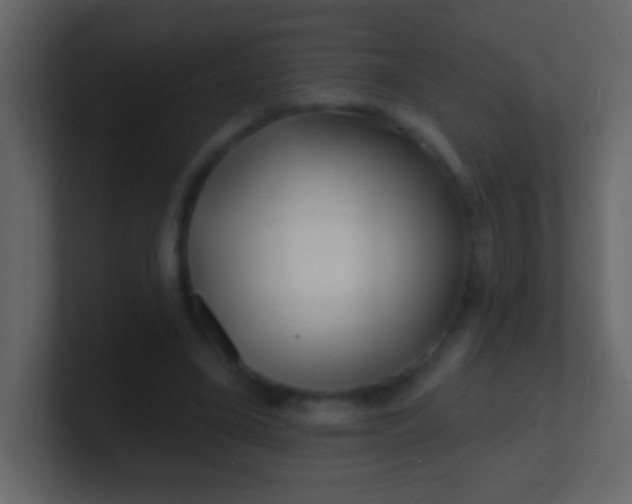 X0000100840395200807070937