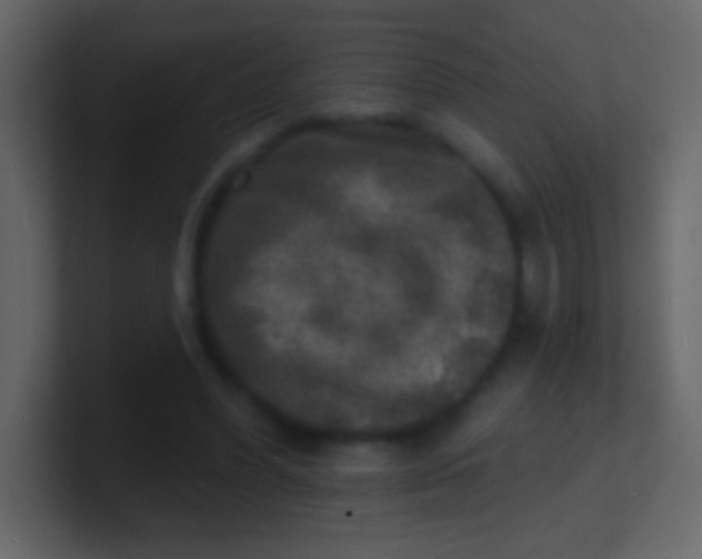 X0000100840396200807070937