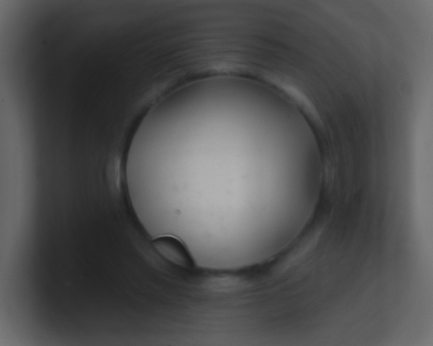 X0000100840397200807070937