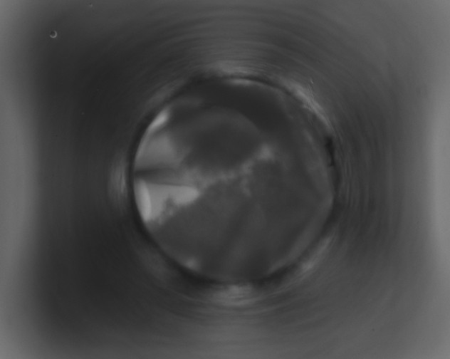 X0000100840398200807070937