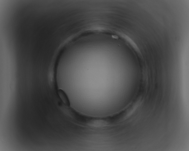 X0000100840399200807070937