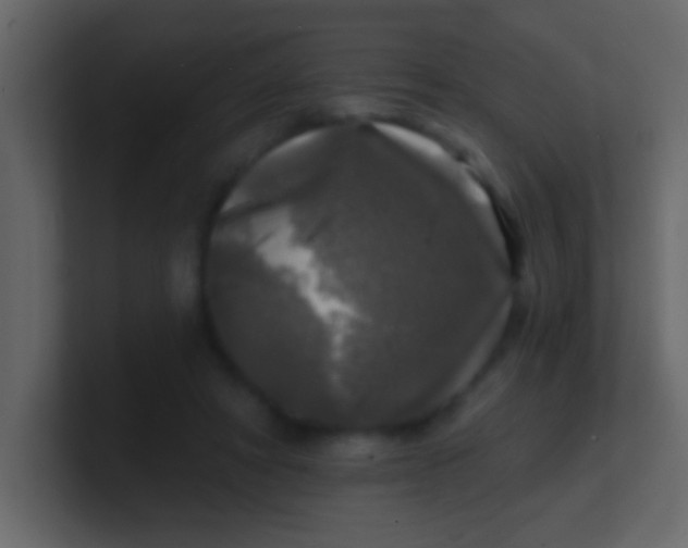 X0000100840402200807070937