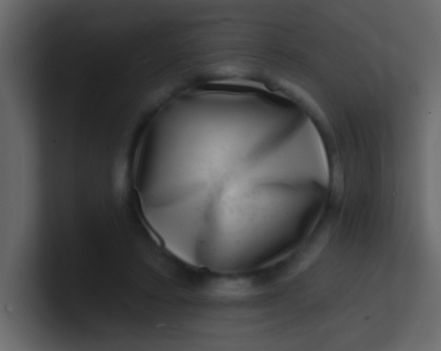 X0000100840403200807070937