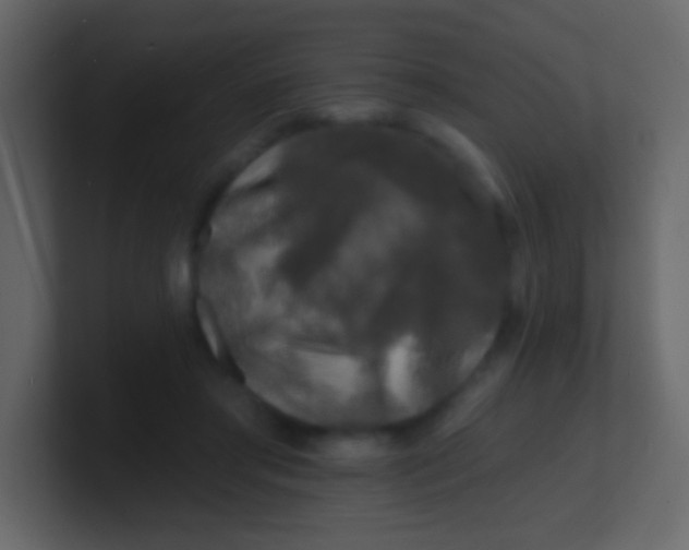 X0000100840405200807070937