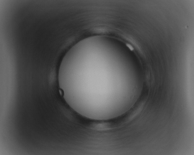 X0000100840407200807070937