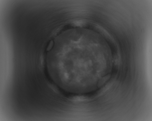 X0000100840408200807070937