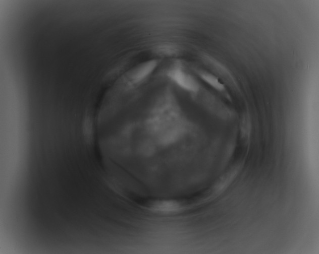 X0000100840409200807070937