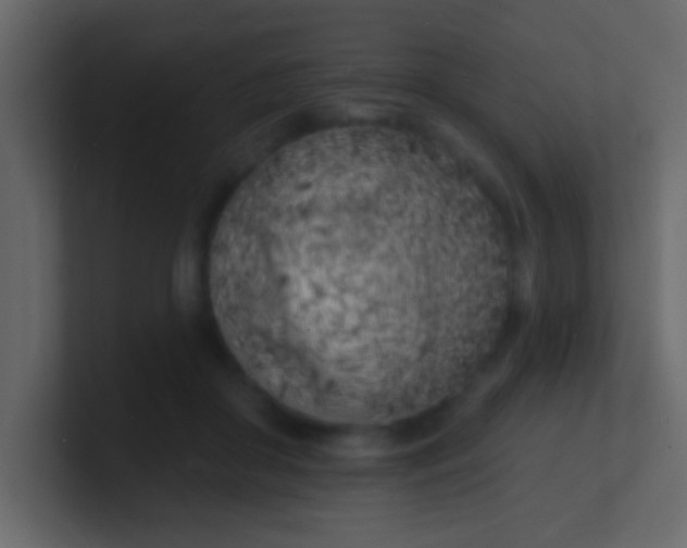 X0000100840410200807070937