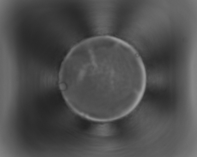 X0000100840411200807070937