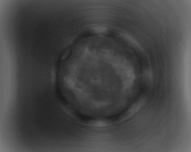 X0000100840412200807070937