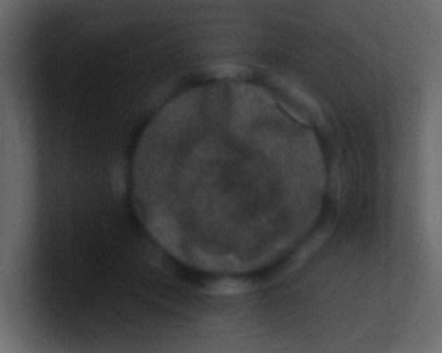 X0000100840413200807070937