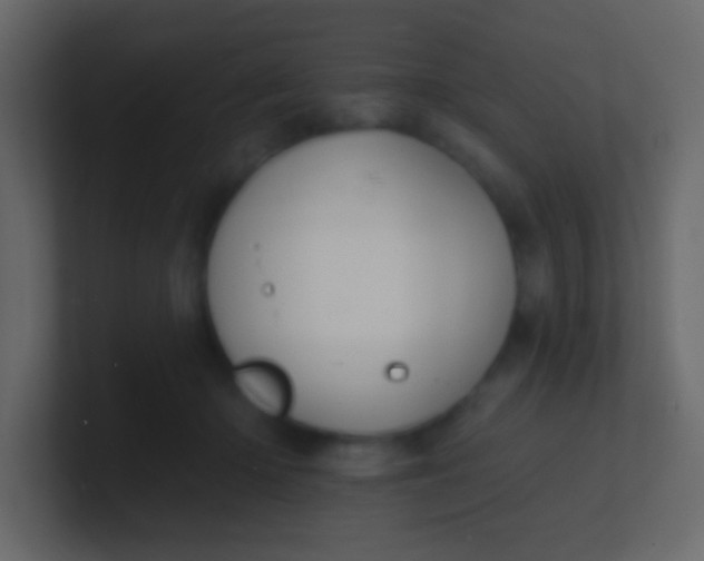 X0000100840414200807070937