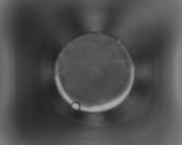 X0000100840415200807070937