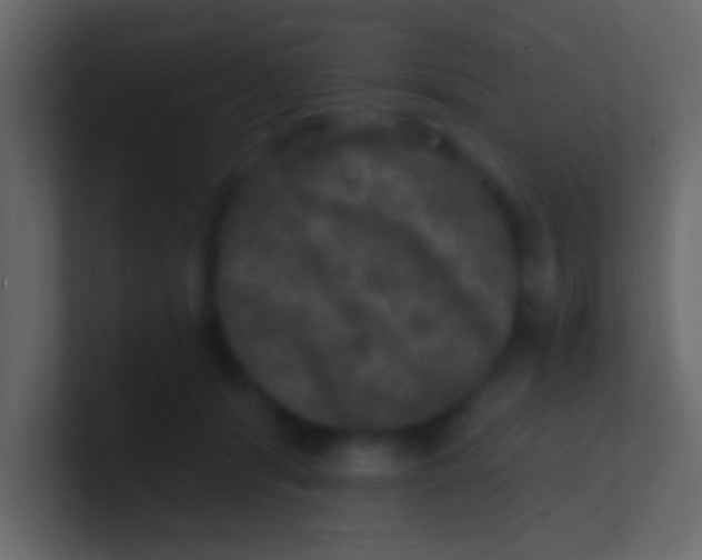 X0000100840416200807070937