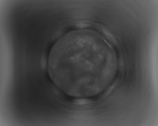 X0000100840417200807070937