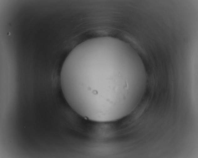 X0000100840418200807070937