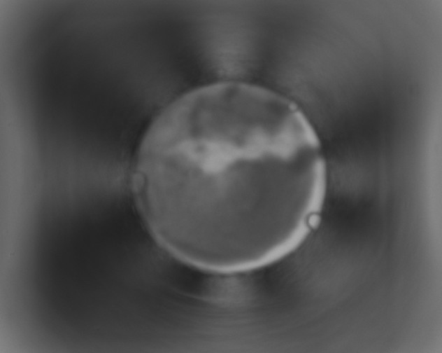 X0000100840419200807070937