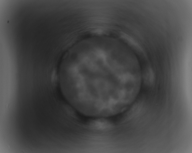 X0000100840420200807070937