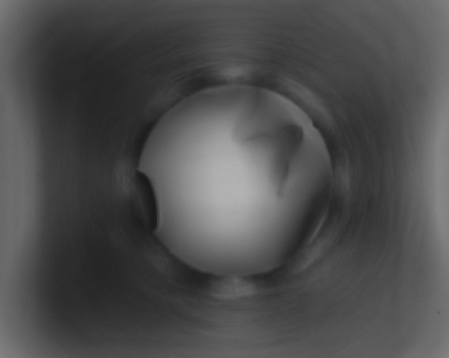 X0000100840421200807070937