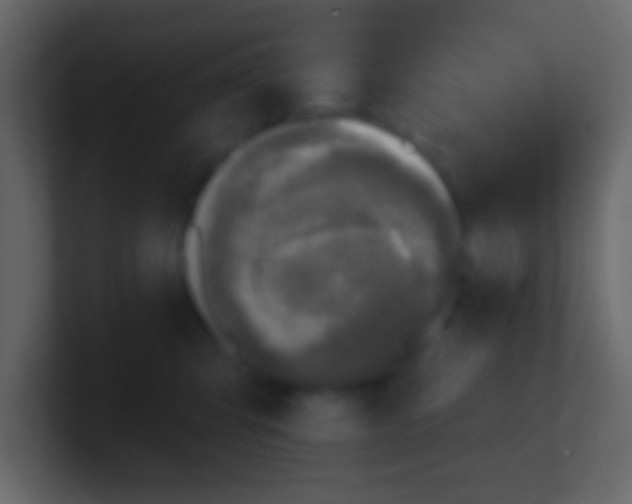 X0000100840423200807070937