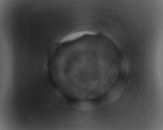 X0000100840424200807070937