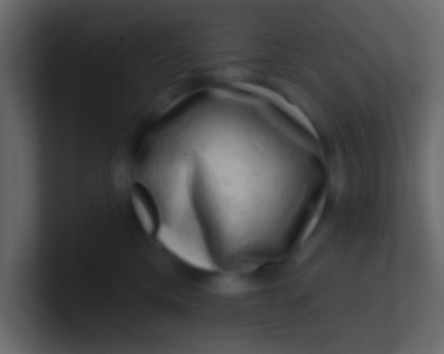 X0000100840425200807070937