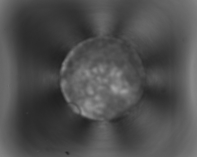 X0000100840427200807070937