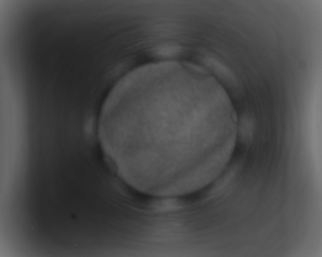 X0000100840428200807070937