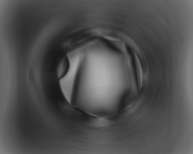 X0000100840429200807070937