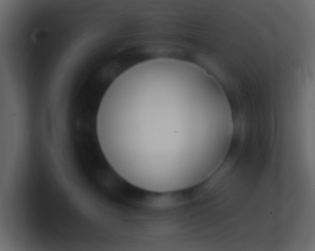 X0000100840430200807070937