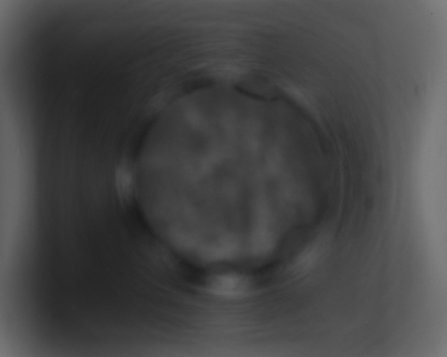 X0000100840432200807070937