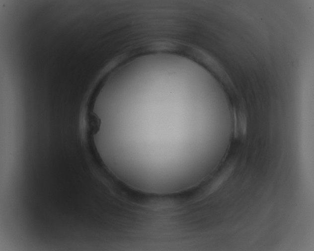 X0000100840435200807070936