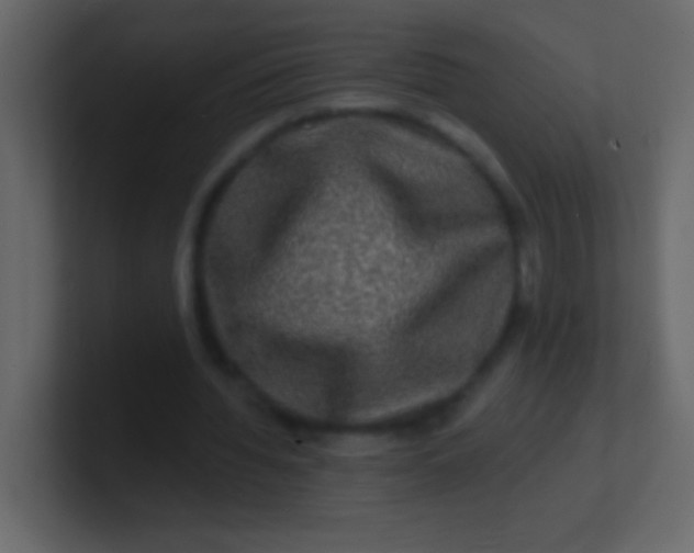 X0000100840436200807070936