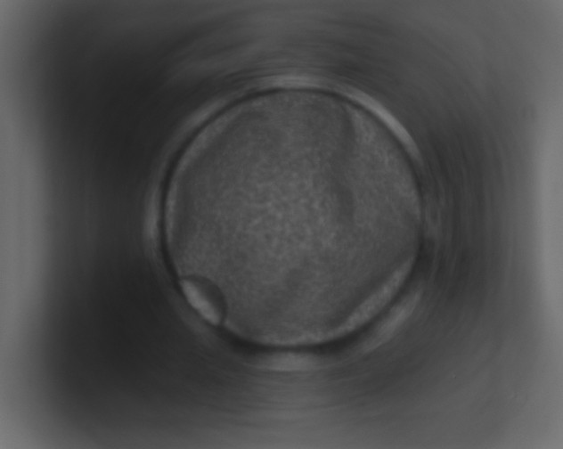 X0000100840437200807070936