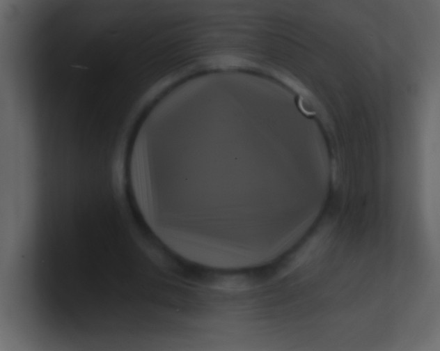 X0000100840438200807070936