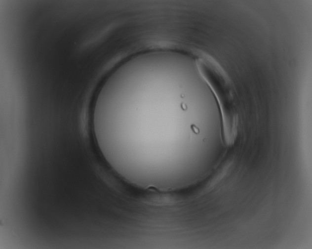 X0000100840439200807070936