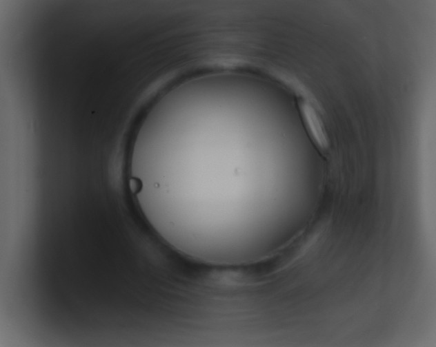 X0000100840440200807070936