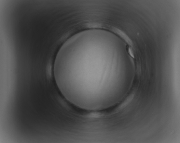 X0000100840441200807070936