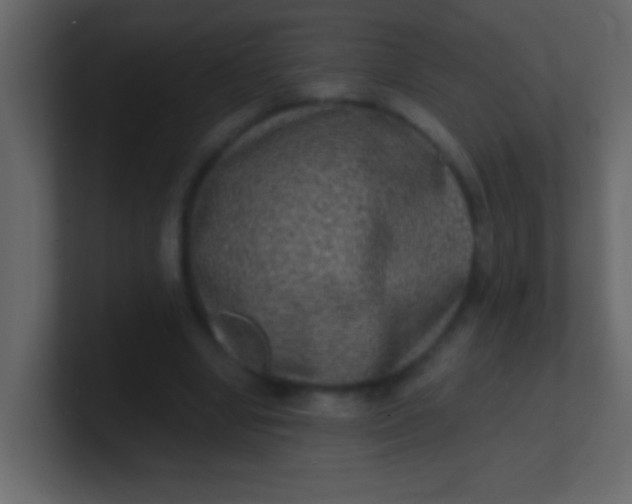 X0000100840442200807070936