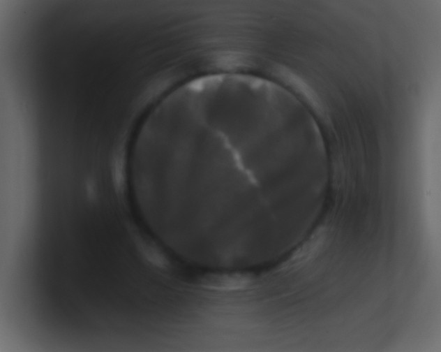 X0000100840443200807070936