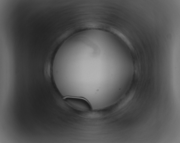 X0000100840445200807070936