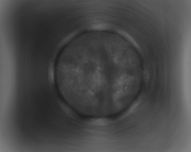 X0000100840446200807070936