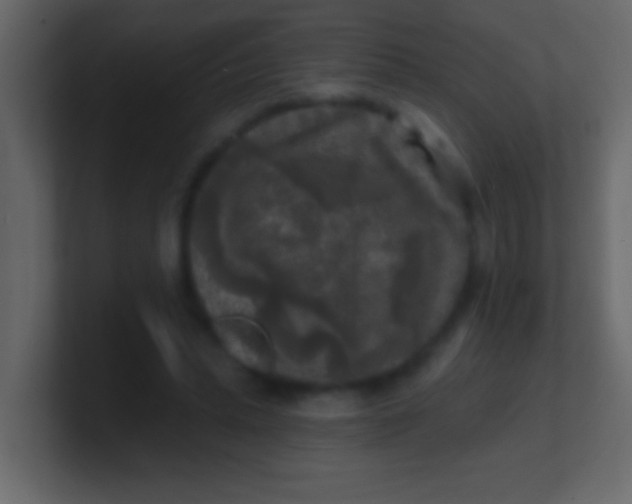 X0000100840447200807070936