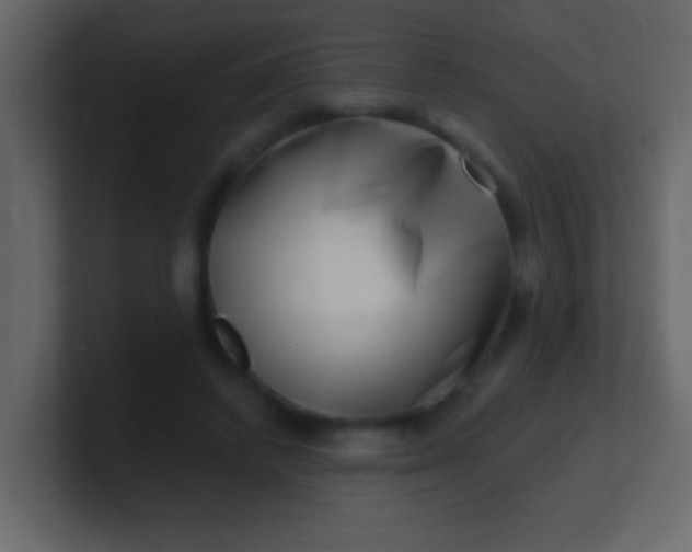 X0000100840448200807070936