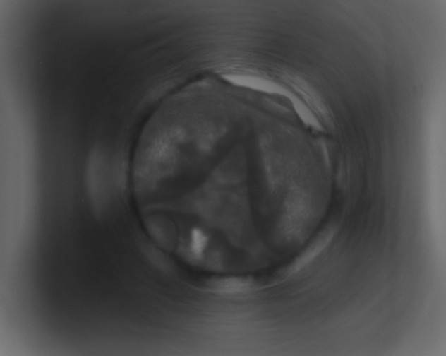 X0000100840449200807070936